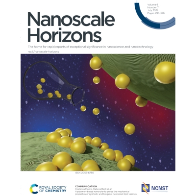 New article on Nanoscale Horizons