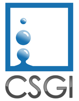 csgi logo