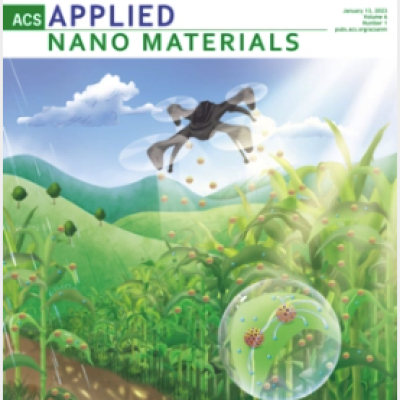 Professor Luigi Gentile published in the ACS Applied Nano Materials Journal