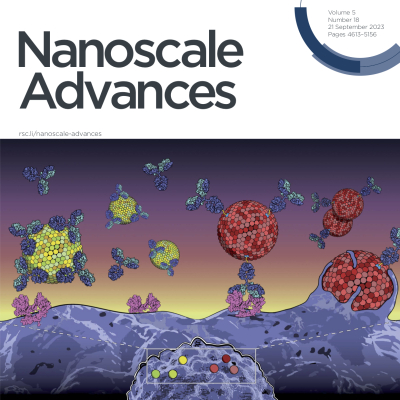 BOW: new cover in Nanoscale Advances
