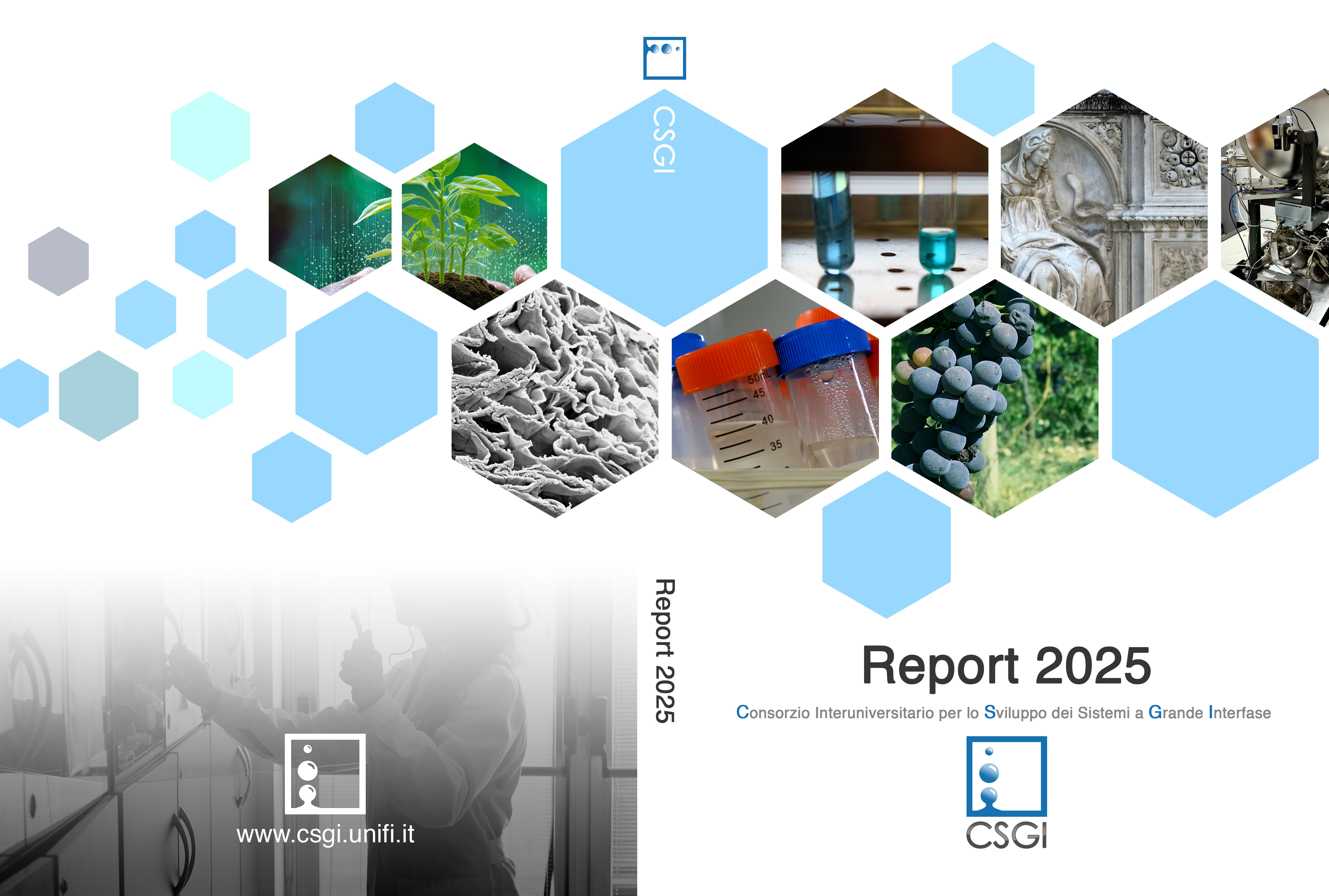 Report 2025