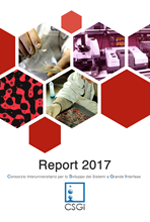 Report 2017